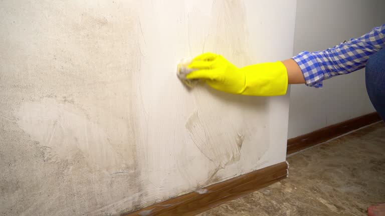 Best Commercial Mold Inspection  in Cottage Lake, WA