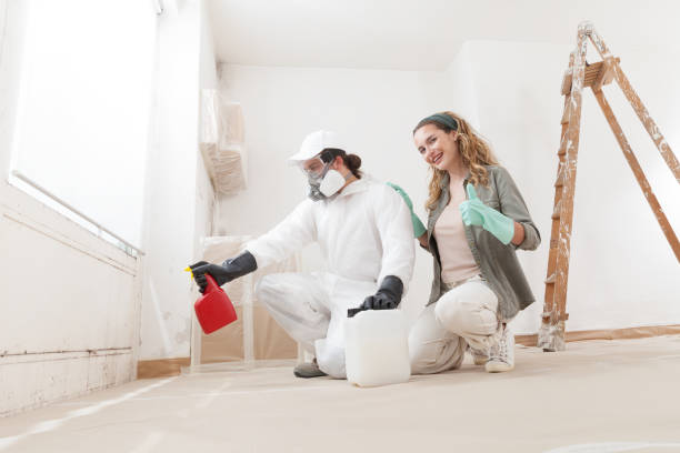 Best Mold Odor Removal Services  in Cottage Lake, WA